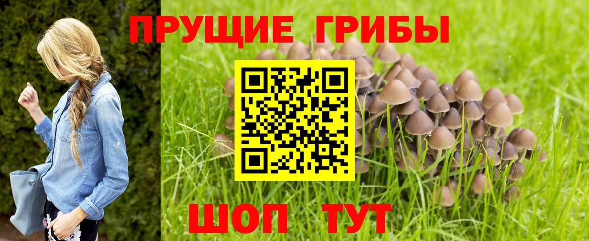 Псилоцибиновые грибы Magic Shrooms Лесозаводск